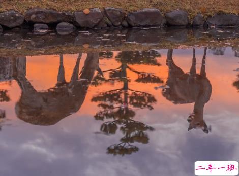 写给2021的经典说说带图片 很正能量的朋友圈文案3