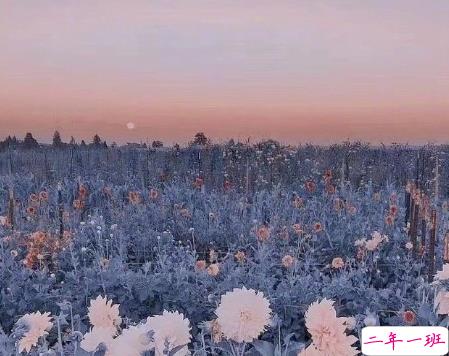 写给2021的经典说说带图片 很正能量的朋友圈文案14