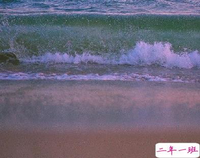 每日书摘精选的个性文案 幸福是生生不息2