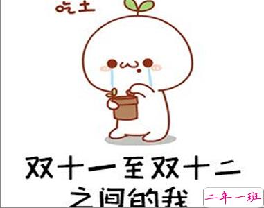 双十二的剁手搞笑文案2020 2020双十二朋友圈心情说说7