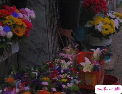 每日书摘精选的个性文案 幸福是生生不息8