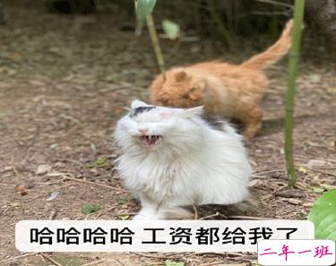 双十二的剁手搞笑文案2020 2020双十二朋友圈心情说说10