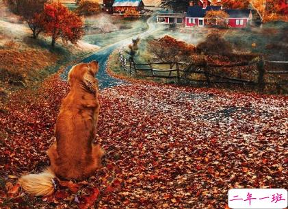 朋友圈点赞率最高的图片说说 爱是天时地利的迷信12