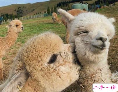 夸颜值的高级彩虹屁范本 如何夸一个人好看1