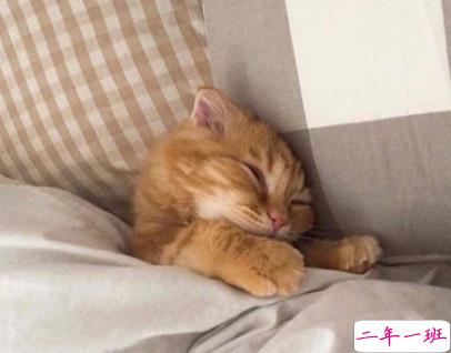 夸颜值的高级彩虹屁范本 如何夸一个人好看2