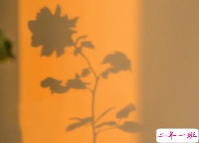 不想上班不想起床的有趣早安说说 声声皆相思早安9