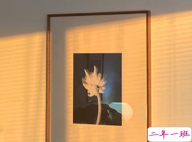 老舍先生通透走心的句子 越不肯努力便越自怜12