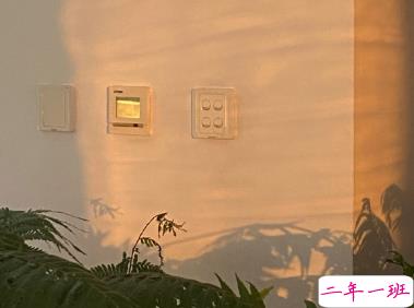 老舍先生通透走心的句子 越不肯努力便越自怜13