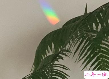 老舍先生通透走心的句子 越不肯努力便越自怜15