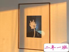 老舍先生通透走心的句子 越不肯努力便越自怜