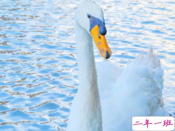 来自九月的温柔语录 这里有一份秋日温柔请签收12