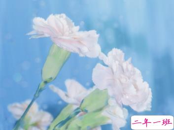 来自九月的温柔语录 这里有一份秋日温柔请签收15