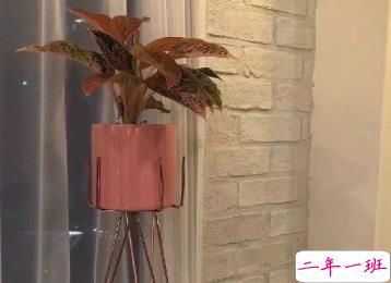 读一次就觉得很震撼的句子 人间的真话本来不多11