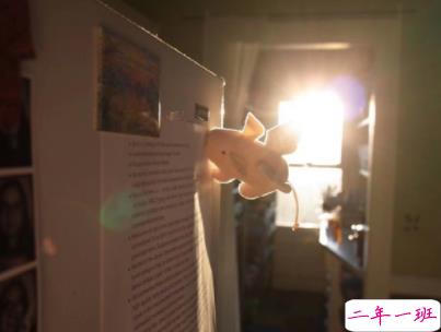 抖音沙雕语录带图片 搞笑心灵毒鸡汤配图4