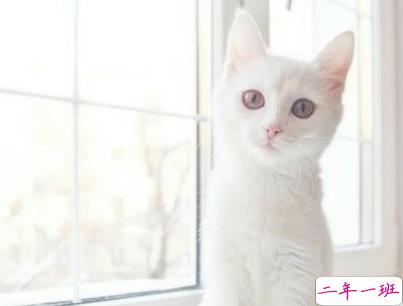 抖音沙雕语录带图片 搞笑心灵毒鸡汤配图9