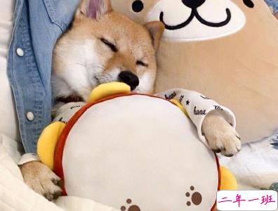 抖音沙雕语录带图片 搞笑心灵毒鸡汤配图10