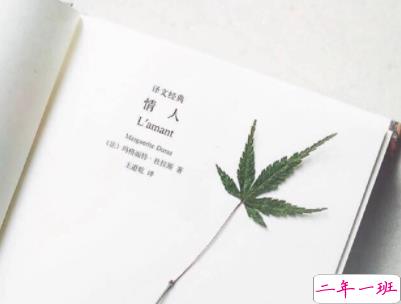 抖音沙雕语录带图片 搞笑心灵毒鸡汤配图11