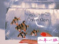 朋友圈内涵语录带图片 不要向对方抱怨同一件事