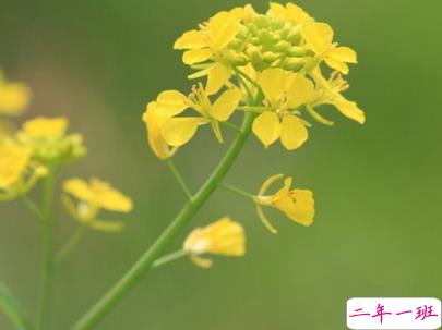 2019重阳节搞笑说说大全 重阳节朋友圈幽默祝福语配图7