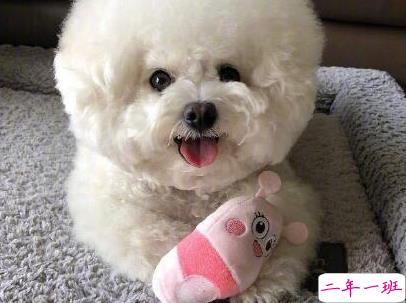 最火爆的搞笑说说带图片 朋友圈流行的幽默句子3