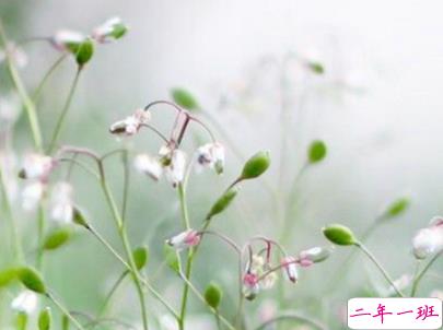 2019重阳节搞笑说说大全 重阳节朋友圈幽默祝福语配图10