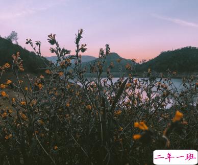 2020经典个性哲理简短走心文案 ​后来你的笑容也变得模糊了14