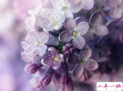 2019重阳节搞笑说说大全 重阳节朋友圈幽默祝福语配图13