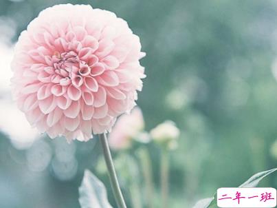 2019重阳节搞笑说说大全 重阳节朋友圈幽默祝福语配图15