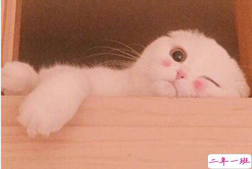 经典个性简单有趣励志说说 听从你心无问东西1