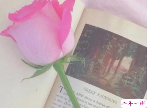 经典个性简单有趣励志说说 听从你心无问东西4