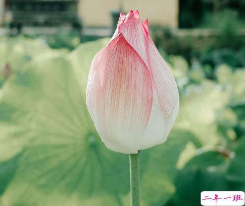 2020最新处暑祝福语说说 处暑节气励志说说精选3