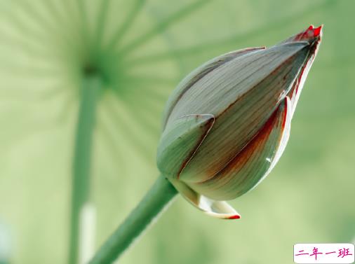2020最新处暑祝福语说说 处暑节气励志说说精选4