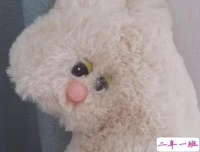 高质量朋友圈搞笑说说配图 像是点了笑穴的幽默句子5