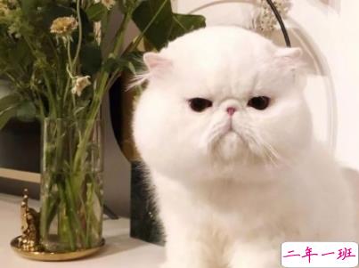 高质量朋友圈搞笑说说配图 像是点了笑穴的幽默句子8