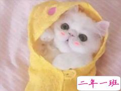 抖音网红搞笑情话说说带图片 很有意思的情话短句