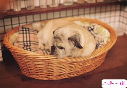 幽默有趣的说说大全一秒钟笑哭 让人乐在其中的搞笑说说带图片1