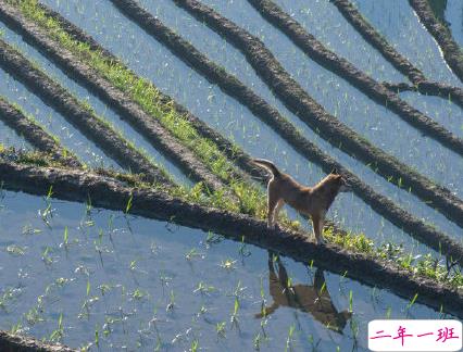 芒种朋友圈说说带图片 2020最新芒种祝福语说说5