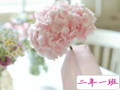 母亲节微信小句子带图片 为妈妈庆祝母亲节的经典说说