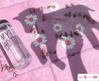 2019火爆的搞笑说说大全逗比专属 笑得直不起腰的一些句子1