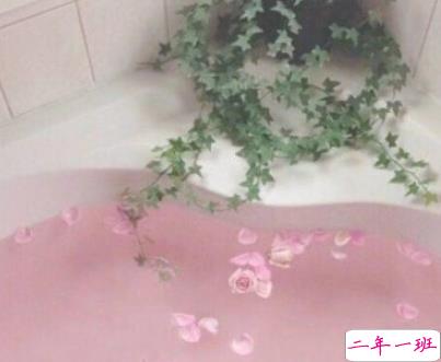 2019火爆的搞笑说说大全逗比专属 笑得直不起腰的一些句子5