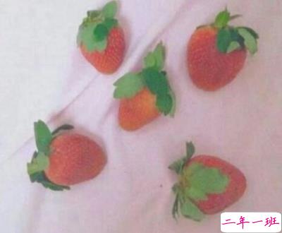 2019火爆的搞笑说说大全逗比专属 笑得直不起腰的一些句子10