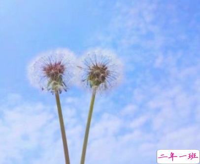 2019火爆的搞笑说说大全逗比专属 笑得直不起腰的一些句子12