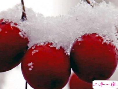 2020最新大寒句子带图片 大寒祝福语经典一句话8