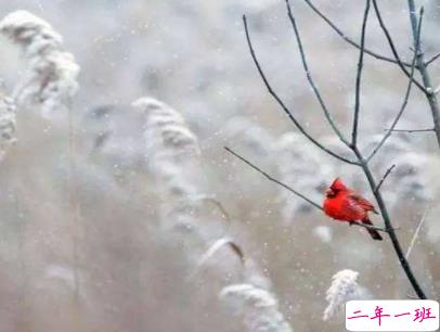 2020最新大寒句子带图片 大寒祝福语经典一句话11