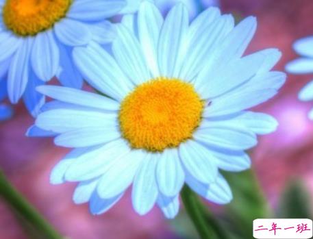 吸引人的超搞笑说说大全带图片 绝对笑翻天的搞笑说说配图15