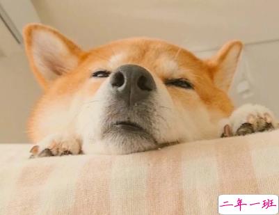 抖音早安经典句子带图片 早安心语致所有人3