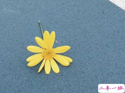 抖音早安经典句子带图片 早安心语致所有人5