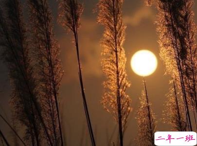 经典说说带图片别人比赞 微信意义深远的句子配图6