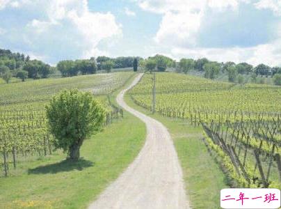 抖音早安经典句子带图片 早安心语致所有人8