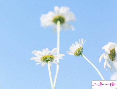 抖音早安经典句子带图片 早安心语致所有人9